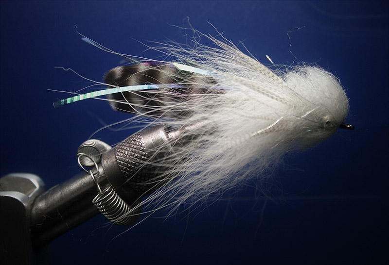 Swinging Flies with Spey & Switch Rods for Steelhead 