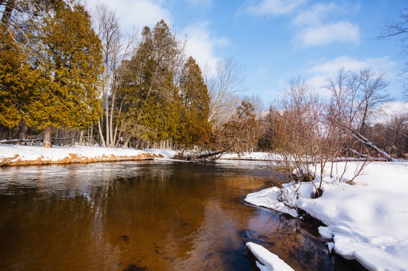 Seasons | Pere Marquette River Fly Fishing Guide - Outfittersnorth