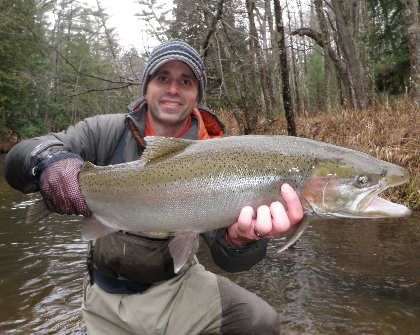 OLYMPUS DIGITAL CAMERA | Pere Marquette River Fly Fishing Guide ...