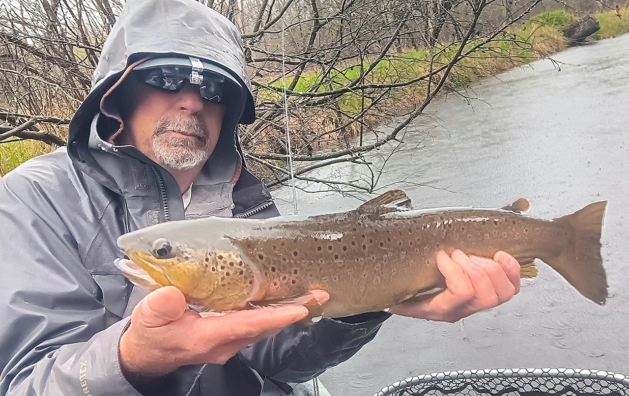 pere_marquette_river_brown_trout