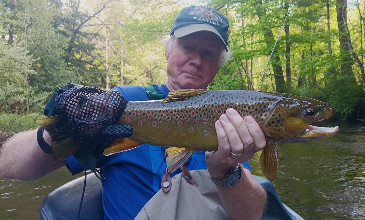 pere_marquette_river_brown_trout