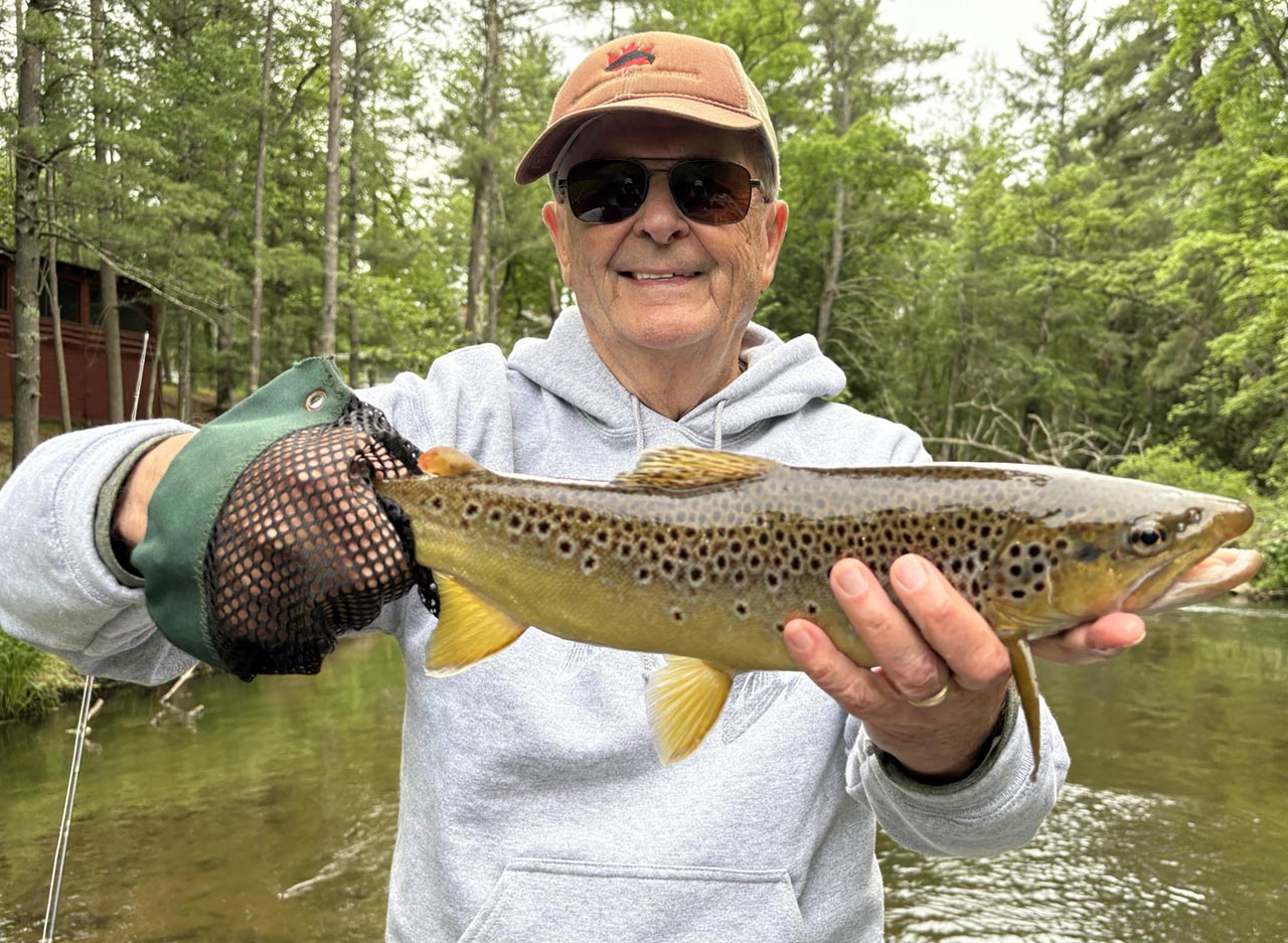 pere_marquette_river_brown_trout