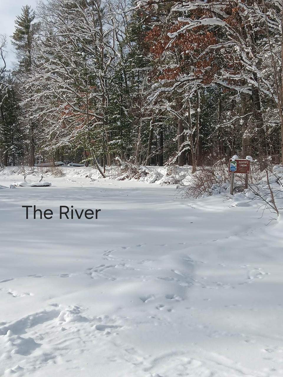 pere_marquette_river_fishing_report